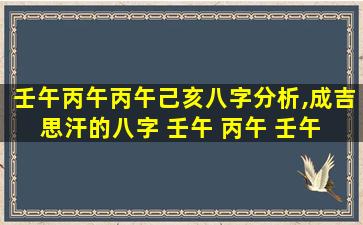 壬午丙午丙午己亥八字分析,成吉思汗的八字 壬午 丙午 壬午 丙午